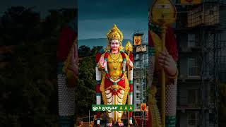 ஓம் முருகா 🙏🙏🙏#ommuruganthunai #ஓம்முருகாபோற்றி #devotional #முருகன்துணை #motivational #முருகாசரணம்