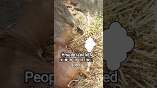 "People created robots to do their jobs" 😂😂😂 #best #jokes #funny #edit #shorts