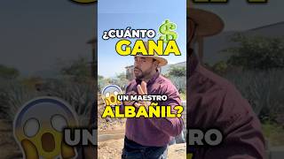 How much does a bricklayer make a day in Mexico? #fy #fyp #foryou #architect #money