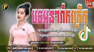 🔴បទល្បី បាត់គោចួបស្នេហ៍កុំពុងនៅក្នុង Tik Tok💥