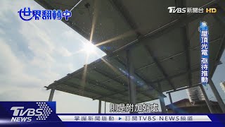 【世界翻轉中】打著綠能反環保?光電板入侵生態熱區亂象多