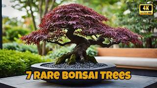 7 Small Trees That Look Like Living Sculptures for Modern Garden Design
