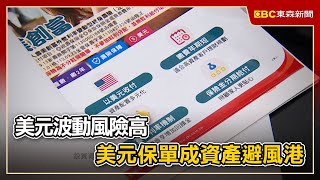 美元波動風險高 美元保單成資產避風港