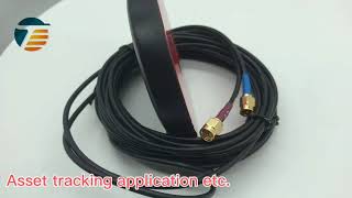 GPS LTE combo antenna