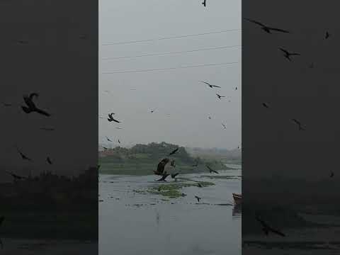 Dhaka Buriganga River Mohammadpur #40Feet Road