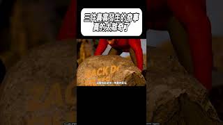 三件真實發生的奇事，真的太離奇了#科普 #漲知識