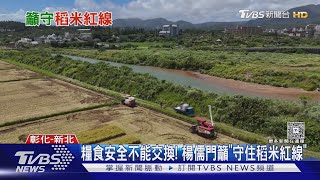 糧食安全不能交換! 楊儒門籲「守住稻米紅線」｜TVBS新聞 @TVBSNEWS01