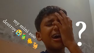 My mini zoo destroy😭||crazy tech||crazy tech vlog