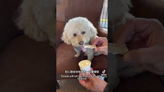 你为什么需要理性思考？｜#个人成长 #认知提升 #治愈系萌宠#心理学