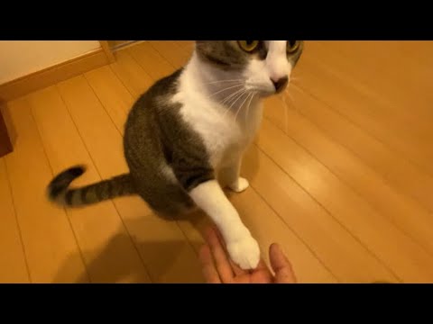 珍しく出迎えてくれた