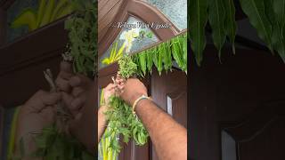 Telugu Vari Ugadi🌴🍋‍🟩🌿#ugadi#festival#indian#traditional#food#family#fun#youtubeshorts#trending