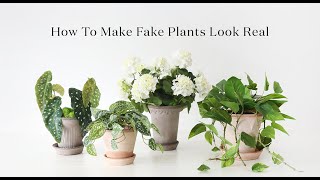 Tips for Styling Fake Plants | How to Make Your Faux Plants Look Real | How to Pot Fake Plants