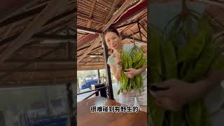 Kota Tinggi Rain Forest Resort For Sale 哥打丁宜热带雨林度假村出售 RM15,000,000