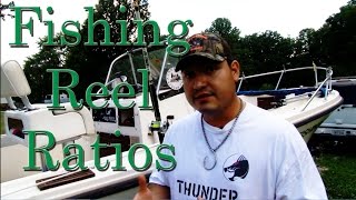 fishing reel gear ratios