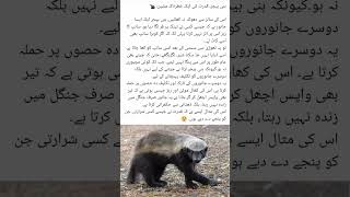 ❤️🥵❤️ informative video 😆😅🤓😆#kh #todaylateefa #urdujokes #funnylateefy #youtubeshort #yt #jokes #fyp