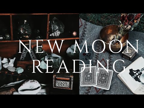 New Moon In Taurus Tarot Oracle Reading | 432HZ Meditation 27 April 2025