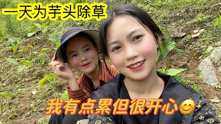 打理花园的一天/đi làm cỏ và chăm sóc cho cây củ sọ