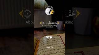 Quran Qareem 🩶 #islamicstatus