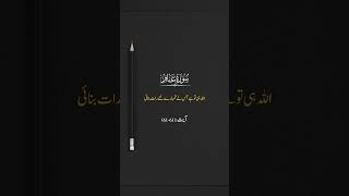 #quranrecitation #quranlines 🤌🌹🌹🥰🥰🌹🥰🥰🤗