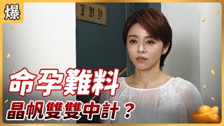 《八點檔搶先爆》好運來 EP144 命孕難料 晶帆雙雙中計？