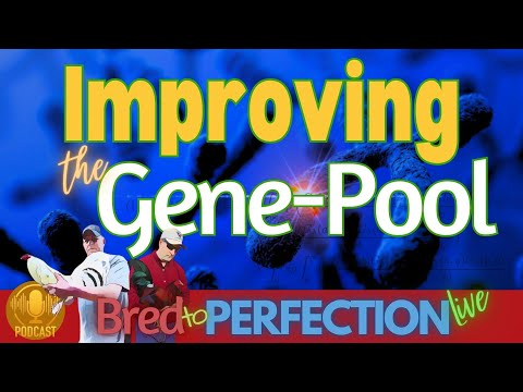 Ep161 -  CLEANING UP THE GENE POOL