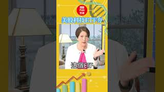 美股再創歷史高!!科技七雄ETF還可追???【芳方面面理財】feat.林奇芬EP78