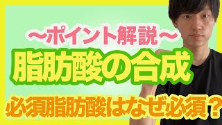 【脂肪酸の合成】過程を知ると必須脂肪酸の意味がわかる！飽和脂肪酸から不飽和脂肪酸まで重要ポイントをマスターしよう！