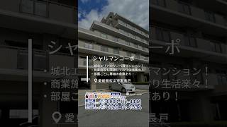 城北エリアのリフォーム済マンション！ シャルマンコーポ松山・城北 #おうちタウン  #ルームツアー
