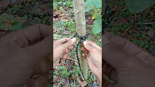 How to tie a Rope Knot 👌 #knot #rope #easyknot