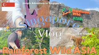 【Rainforest Wild Asia 🇸🇬】Explore Singapore’s new jungle park, meet exotic animals 🐯 | Cave lunch 🪨
