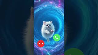 Swipe Right, Paws Up: Love is Meowing!#cat # shorts