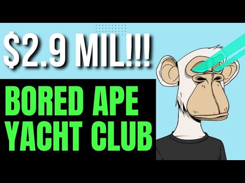 What is Bored Ape Yacht Club? BAYC explained for beginners