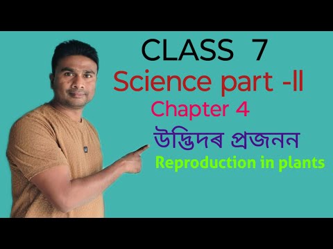 #Class7#science #reproduction in plants #উদ্ভিদৰ প্ৰজনন