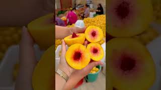 The fruits of naturen #shorts #farming #farm #food #finefood #enjoy #nature  #fruit #funny #peach