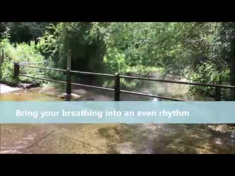 Two minute Multi Mindful Reflection