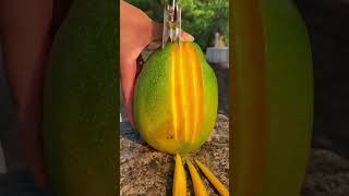 Mango 🥭🍍🥭🥭 🥭🍍#food #mango #shake #fruit #health #easynutrition #cooking #breakfast #motivation