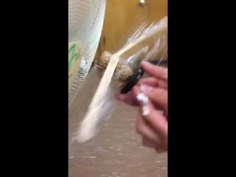 Grade 5 wind project
