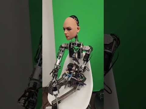 My Typical Workday at Realbotix