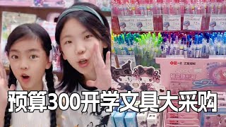 Budget 300 yuan School Stationery Purchase! Elementary school students vs high school students to s