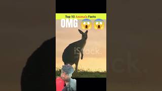 #facts #amazingfacts #factsinhindi #animals #gk #factshore #anandfacts #animalsfacts #youtubeshorts