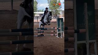 Some of my favorite jumps 🤩🐴 #gilaryeq #equestrian #horserider #showjumping #jumpinghorse #horses