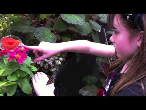 Zoe on the Go- What's NEW in the NEWS-DOW GARDENS
