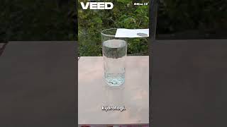 science experiment magic ✨