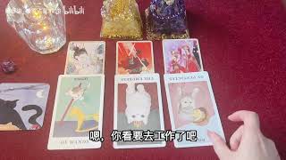 月老接下来对你的安排，来自月下老人的祝福和指引！大众占卜•无时限•tarot