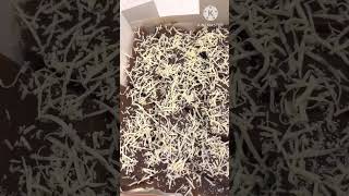 Making this Dessert is one of my specialty #viralvideo #satisfying #shorts #video