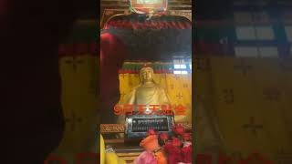 桑耶寺为如我莲师面部容颜刷金大家资财丰足法财广进㊗️愿所有见闻随喜小伙伴们合家🉐到灵验如我莲师🈚限加持富贵发财长寿满愿[發]㊗️愿天下众生🈚🈶疾苦和病苦身心安乐㊗️愿天下父母福寿安康长命百岁