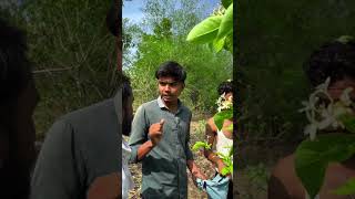 Bhau agar sher aaya to kaisa karege  #sher #jangal #funny #trend #comedy #viral #trending #Bhau