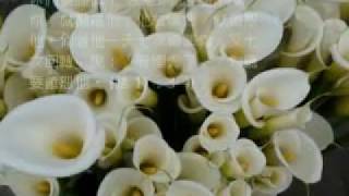 Prayer Song - Wait for GOD 敬拜灵修音乐 等候神