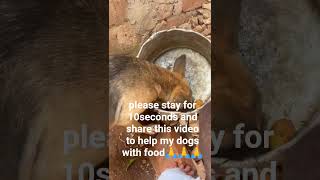 #dogfood #puppy #donate #foodfordogs #dogsrescue#dogslovers#dog