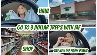 GO TO 3 DOLLAR TREE’S WITH ME | DOLLAR TREE HAUL | SHOP WITH ME | TRY NEW DIP FROM PUBLIX